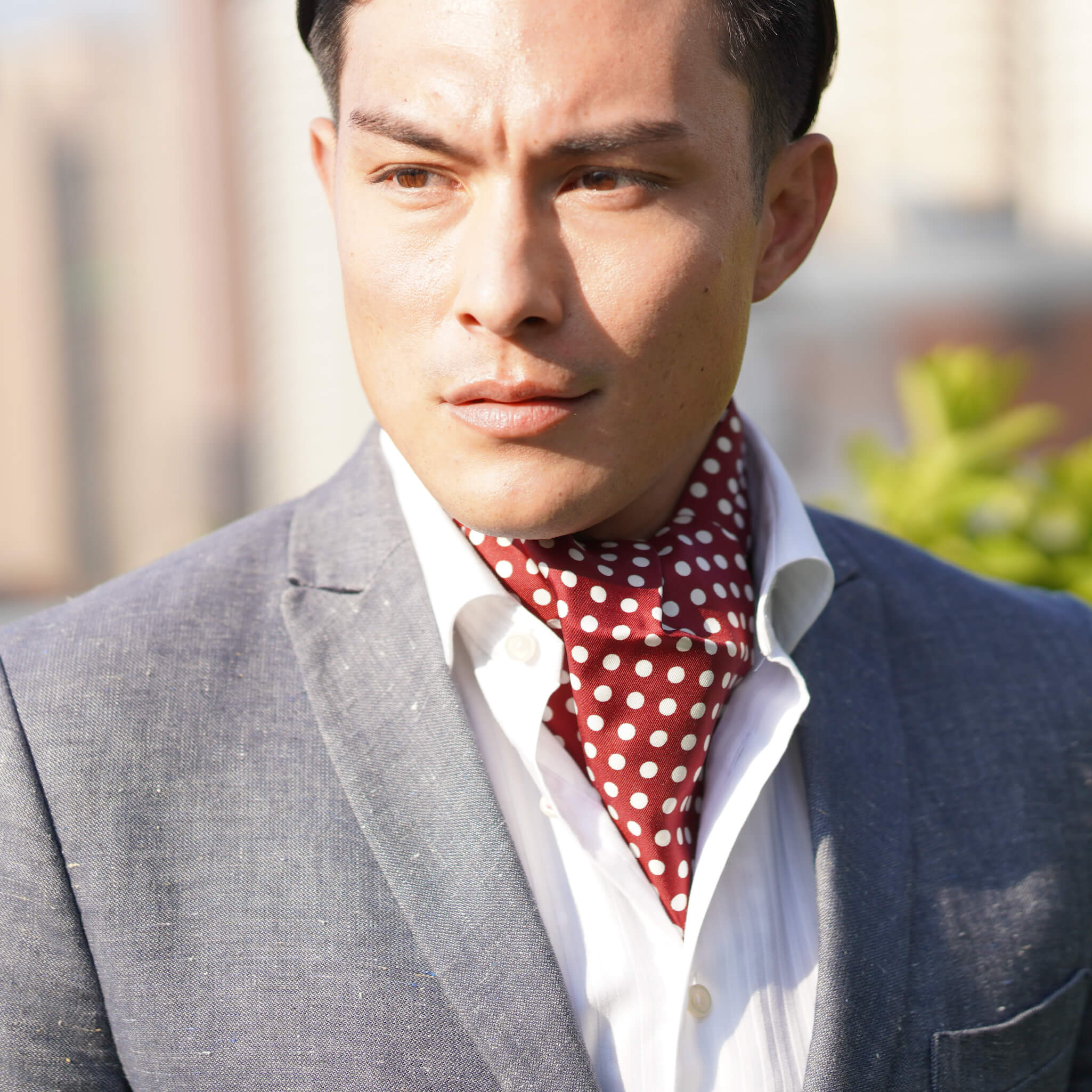 BOLLE Men's Ascot