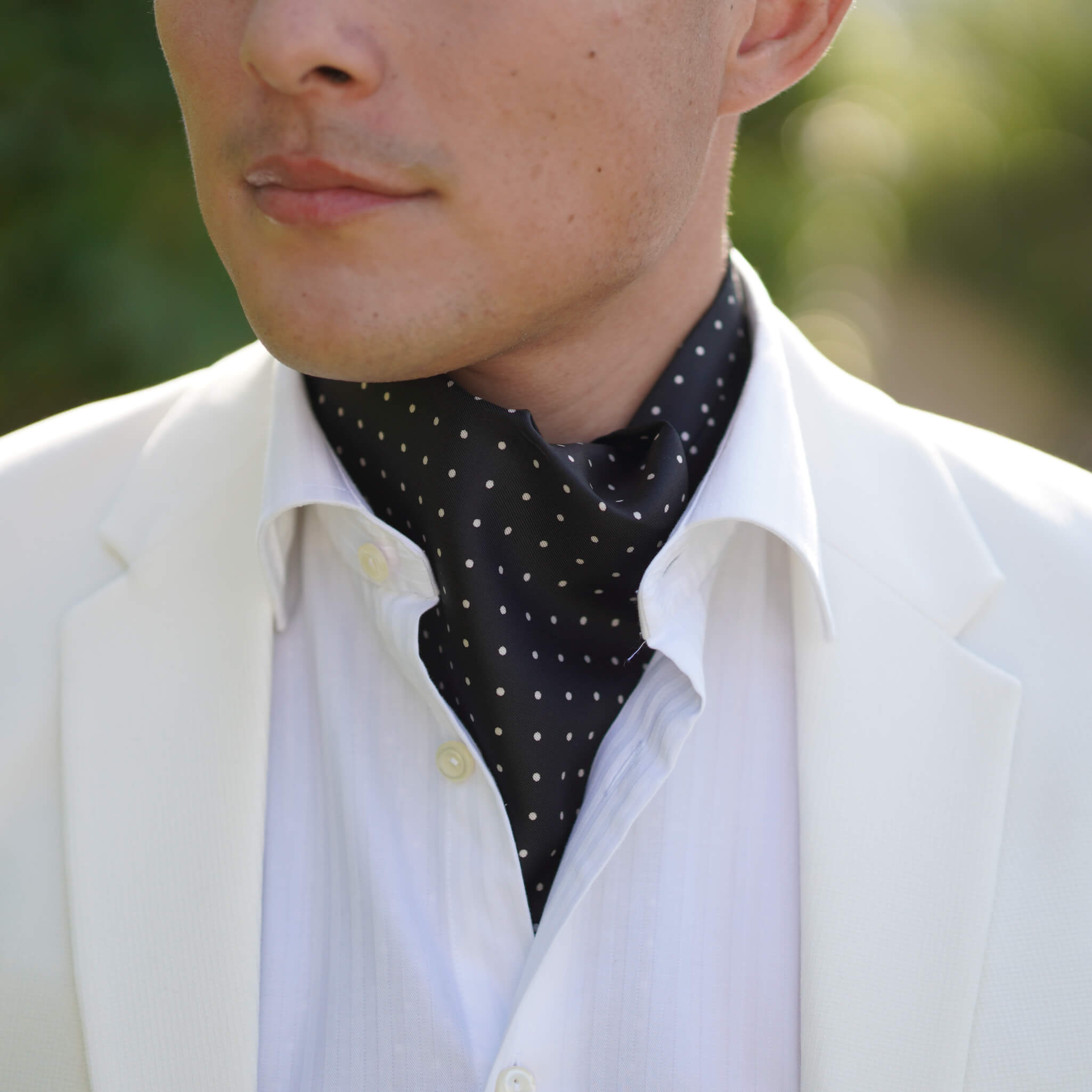 VADENA Men's Ascot