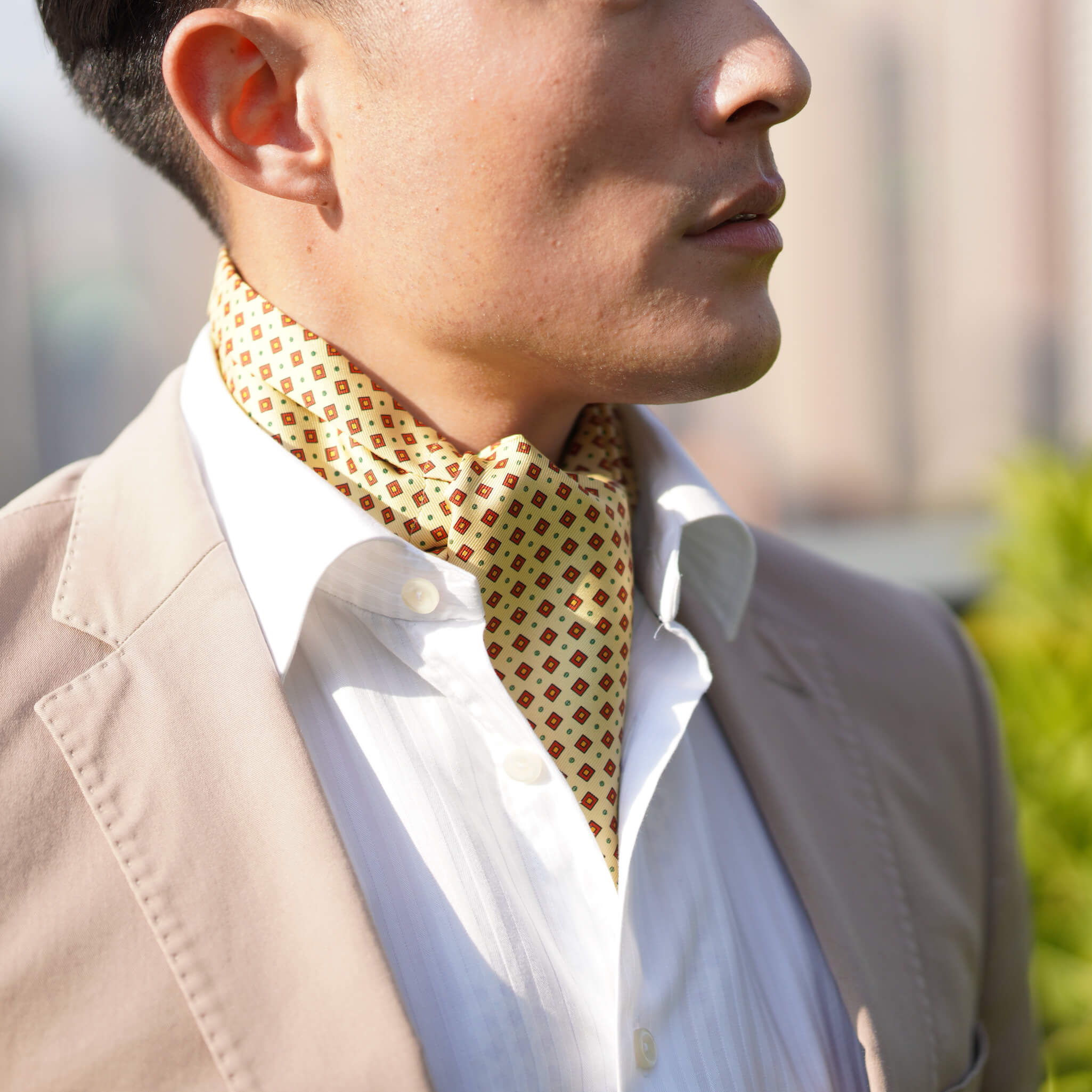 ELISA Men's Ascot