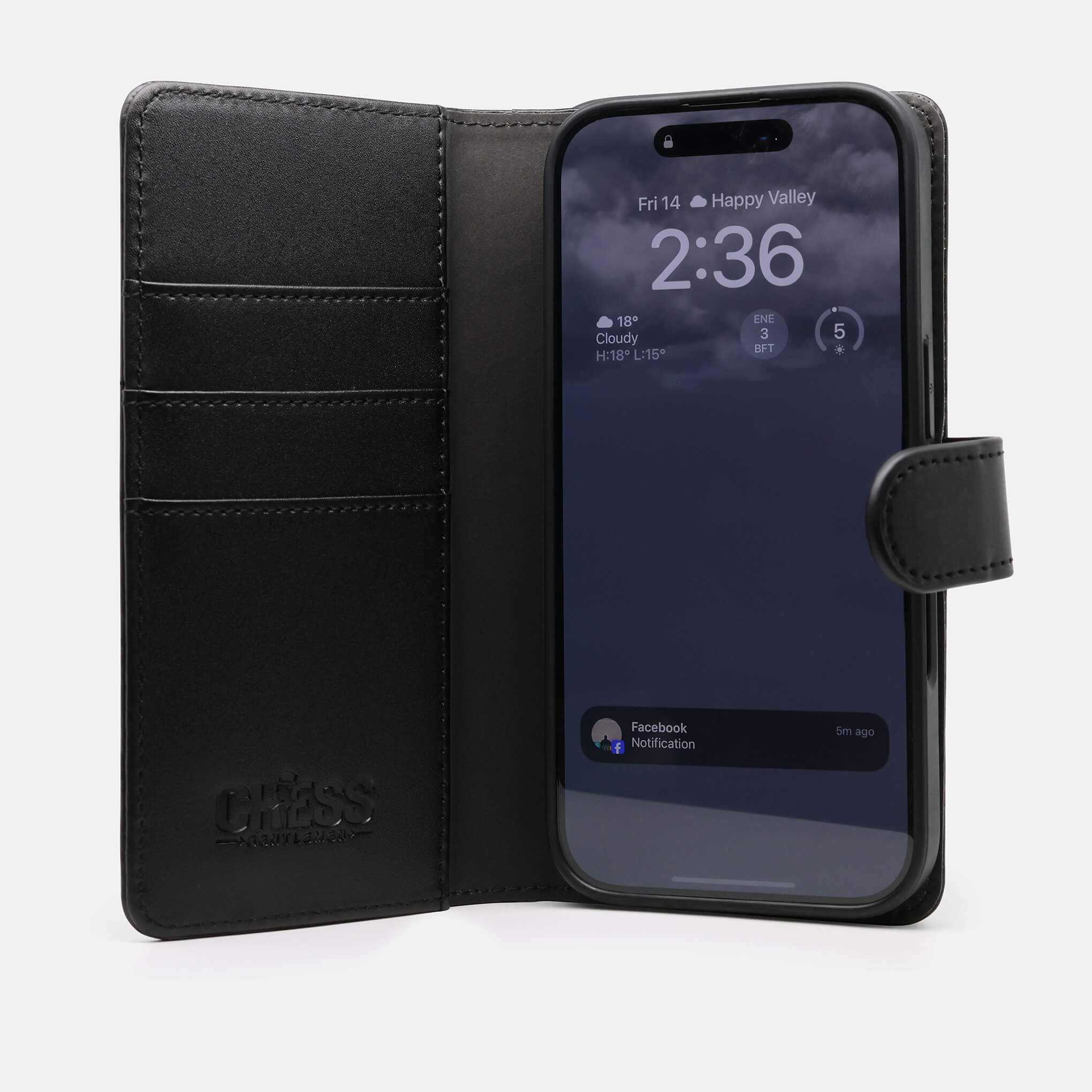 DENNIS Leather Wallets for iPhone 16 Pro in BLACK