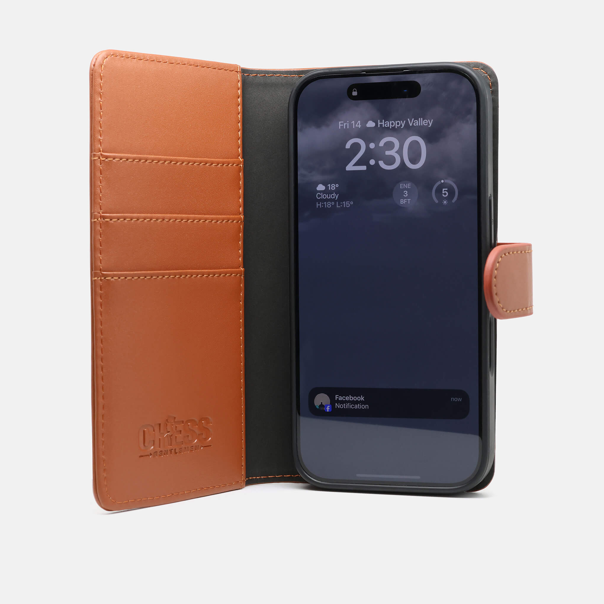 DENNIS Leather Wallets for iPhone 16 Pro in BROWN