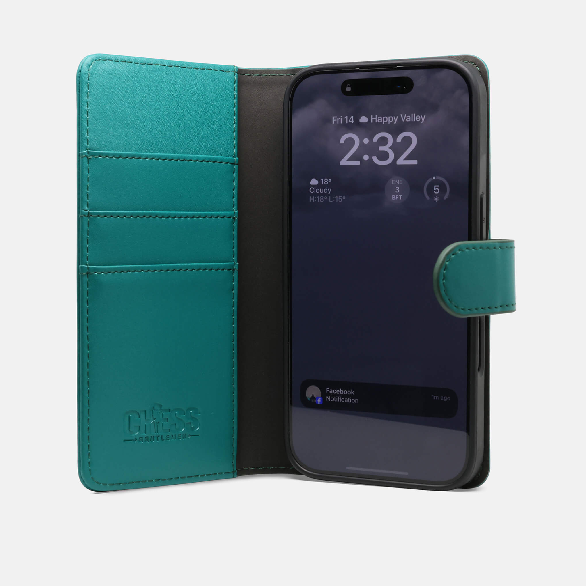 DENNIS Leather Wallets for iPhone 16 Pro in GREEN